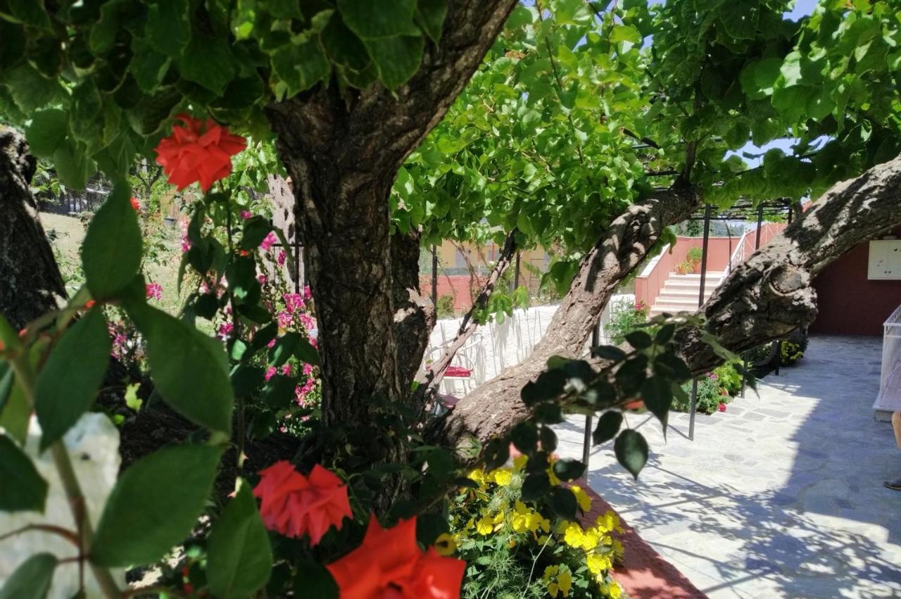 Rio Grande Guest house Benitses (Corfu)